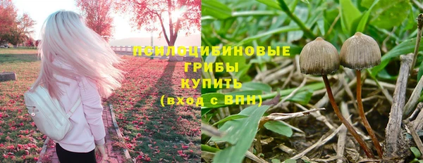 кокаин VHQ Каменка