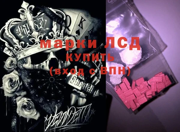 хмурый Инта