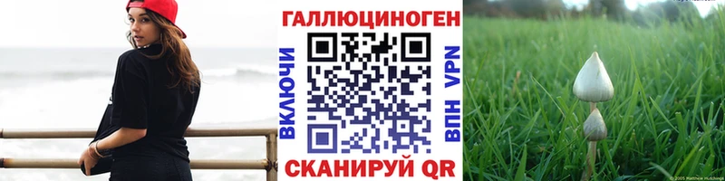 Галлюциногенные грибы MAGIC MUSHROOMS Иланский