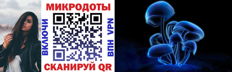 Купить где Иланский Псилоцибиновые грибы прущие грибы